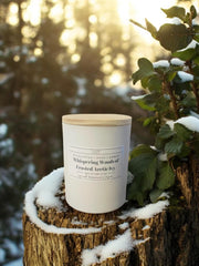 Whispering Woods of Frosted Arctic Ivy Candle | Eucalyptus, Sage & Amber Scent